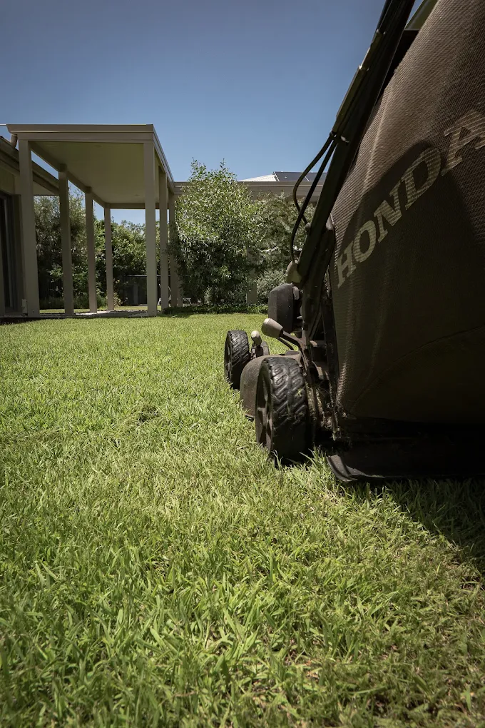 Lush landscaped outdoor space