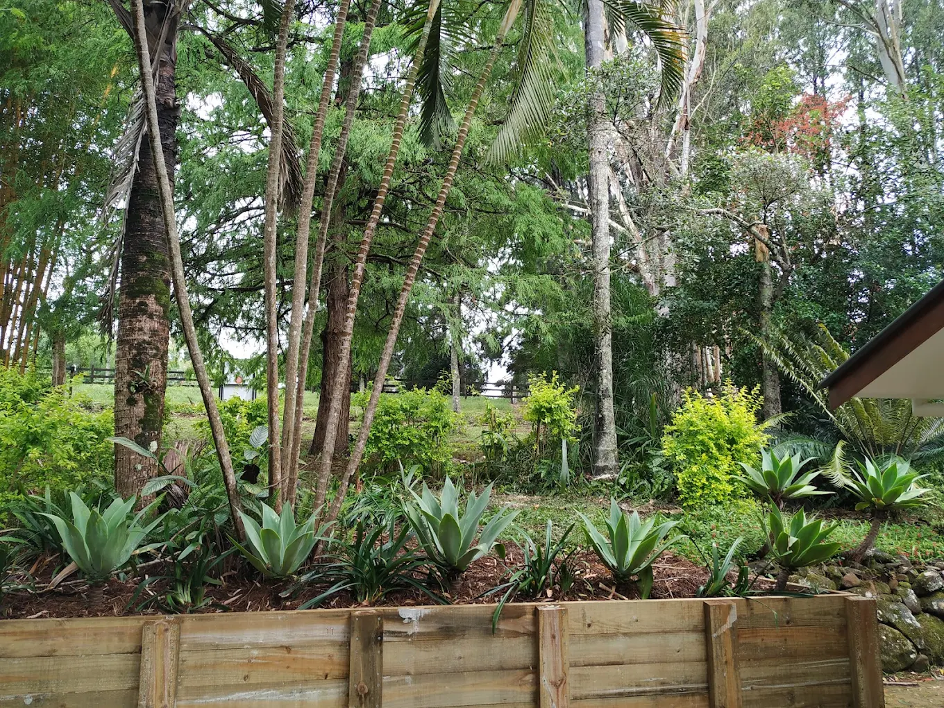 Raised garden beds being mulched